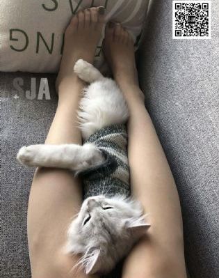 高兴潮喷吹久久久久久_剧情片完整在线观看